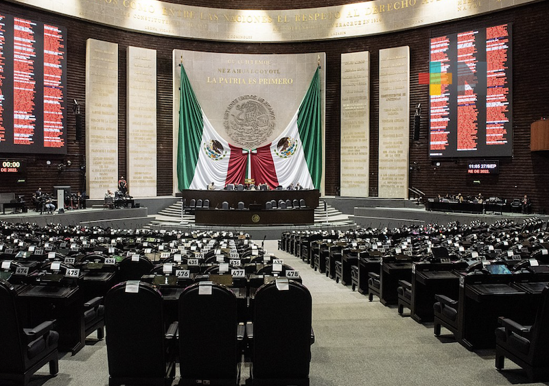 INE proyecta integración del Senado y de la Cámara de Diputados